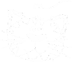 Мастер-классы
